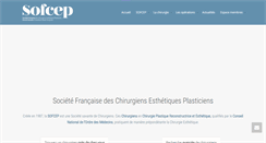 Desktop Screenshot of chirurgiens-esthetiques-plasticiens.com